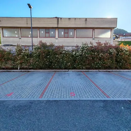 Bright Elegance - Motta Como