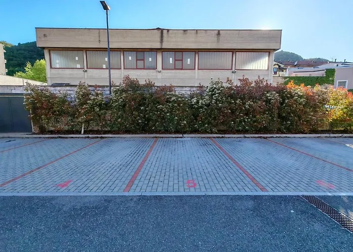 Bright Elegance - Motta コモ