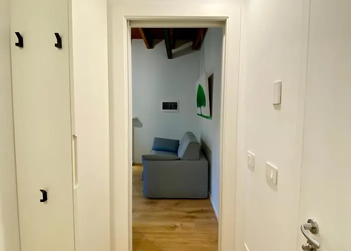 Bright Elegance - Motta *